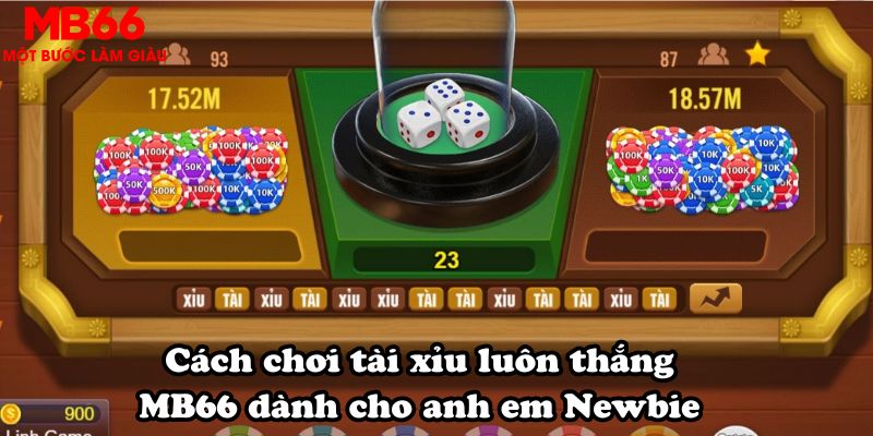 Cách chơi tài xỉu luôn thắng MB66 dành cho anh em Newbie