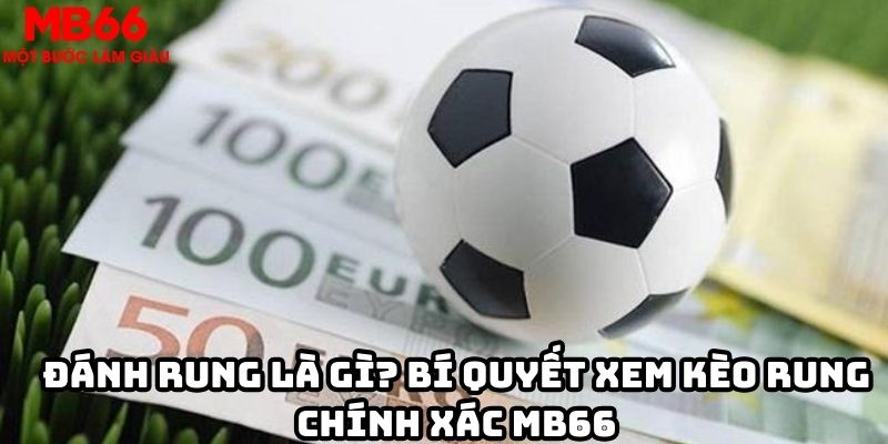 Đánh rung là gì? Bí quyết xem kèo rung chính xác MB66