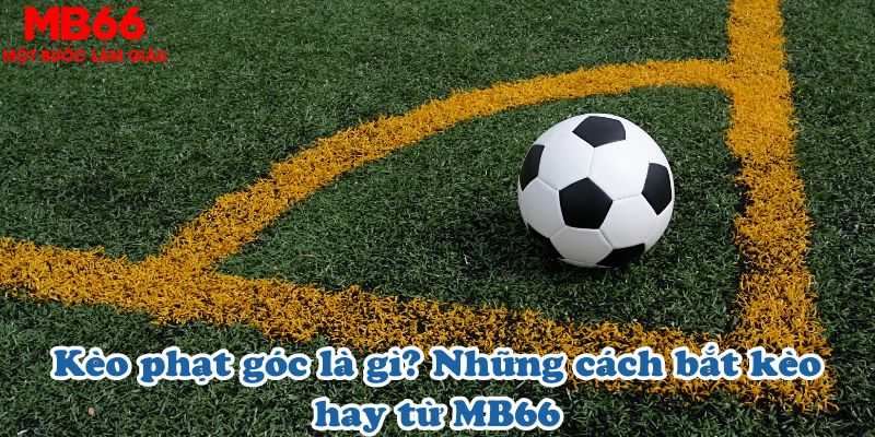 Kèo phạt góc là gì? Những cách bắt kèo hay từ MB66